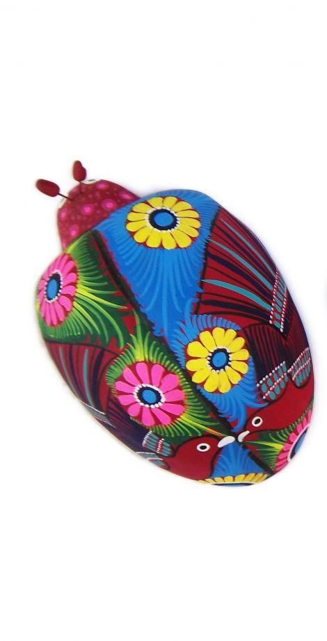 NA050 - Lady Bug
