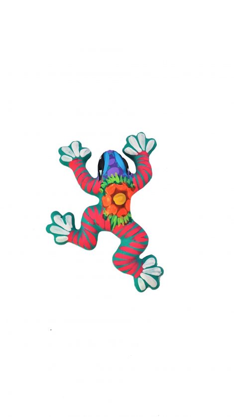 NA008 Mini Frog - Image 2