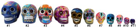 NA311 Skull #7 Mini- Styles Vary