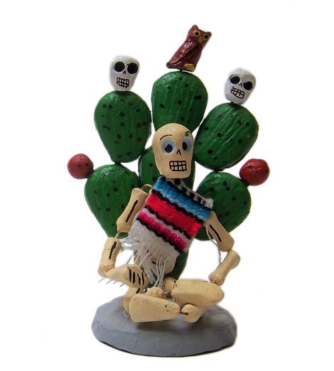 Cactus dd523