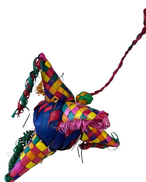 Palm Pinata