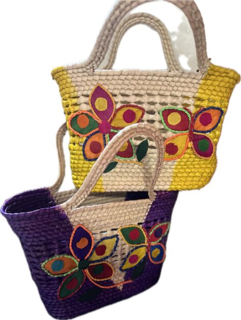 Butterfly colorful palma bag
